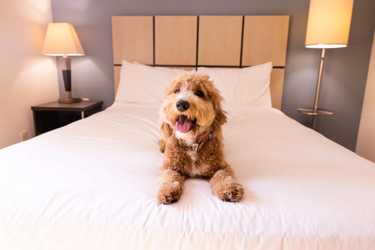 Sonesta Simply Suites Anaheim Гардън Гроув Екстериор снимка